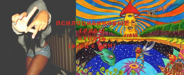 дживик Семилуки